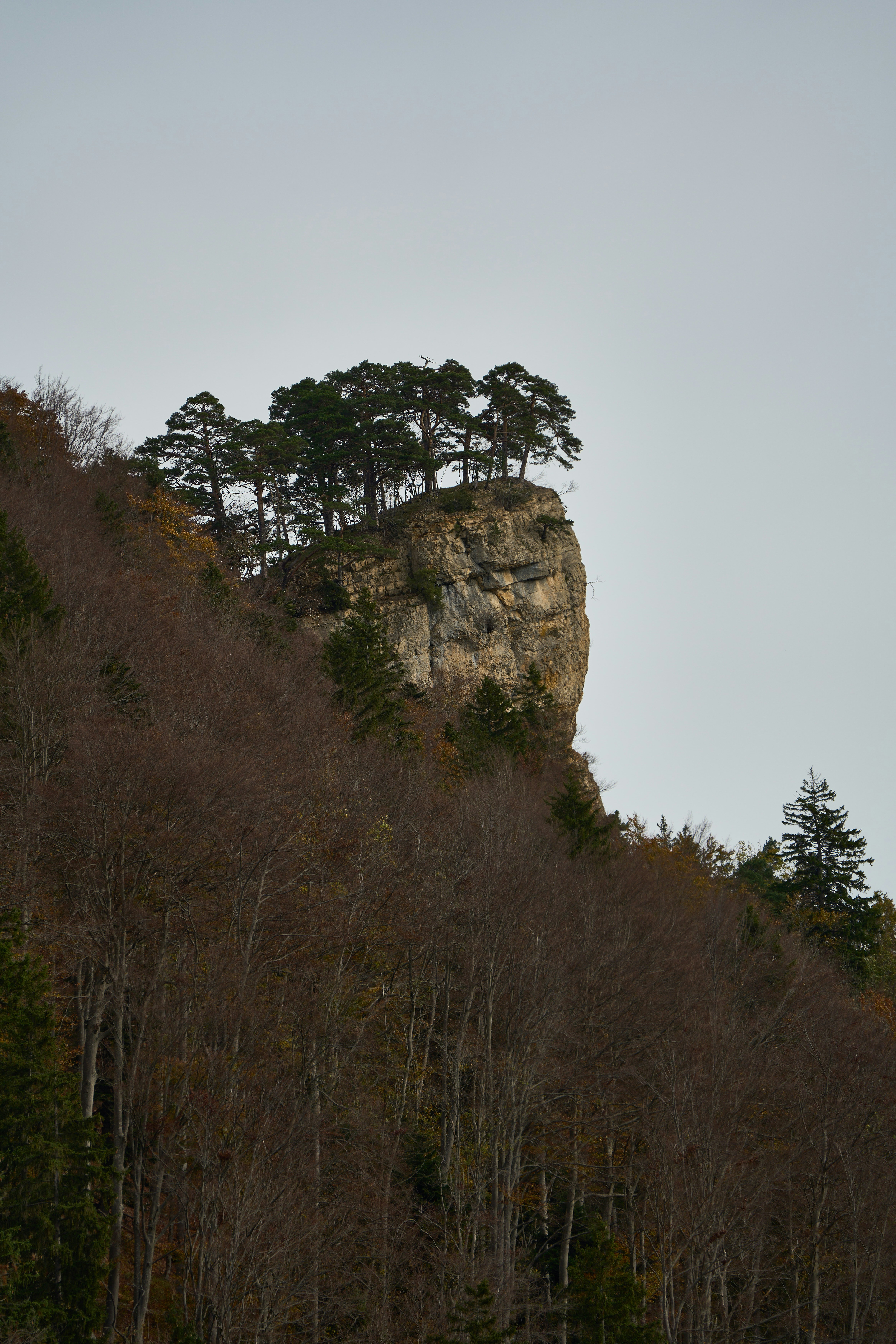 a large rock with trees on top of it